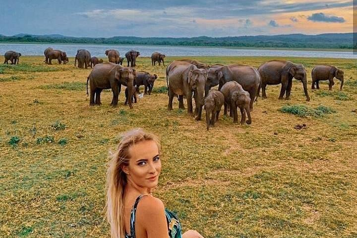 Minneriya National Park 